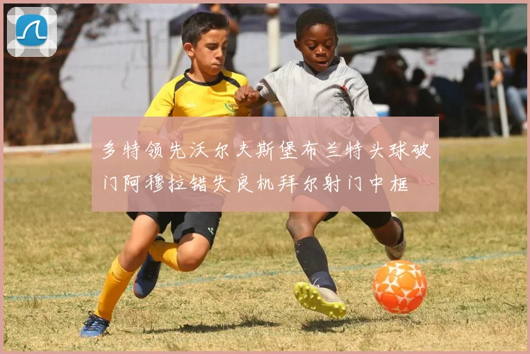 多特领先沃尔夫斯堡布兰特头球破门阿穆拉错失良机拜尔射门中框