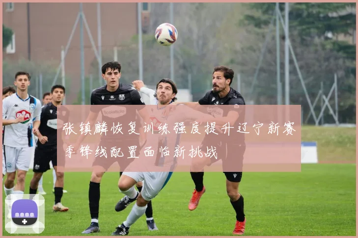 张镇麟恢复训练强度提升辽宁新赛季锋线配置面临新挑战
