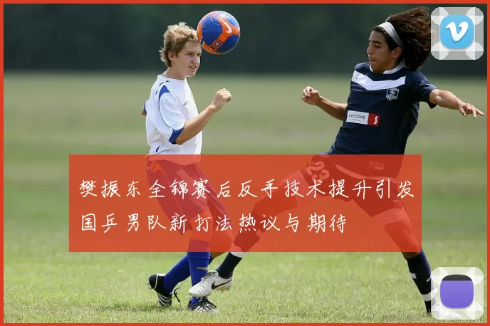 樊振东全锦赛后反手技术提升引发国乒男队新打法热议与期待